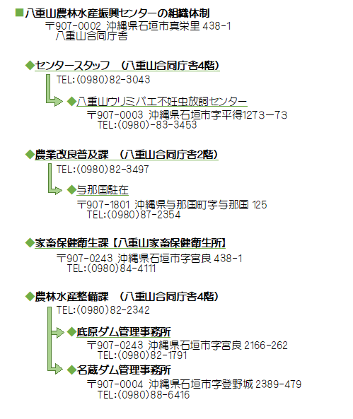 イラスト：組織図