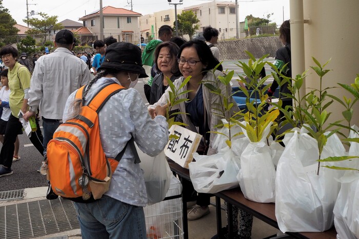 南城市の花木クチナシの配布