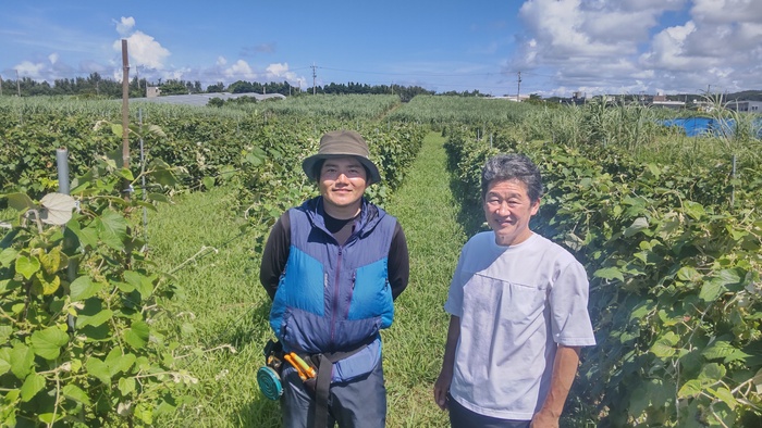 中田さん(右)と、池原さん(左)(リュウキュウガネブの畑にて)