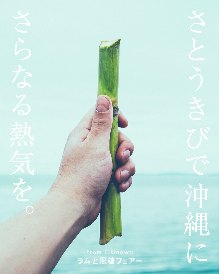 ビジュアル