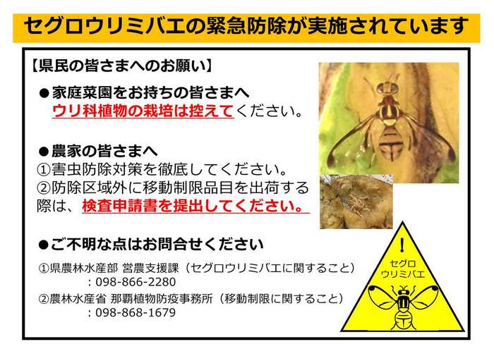 セグロウリミバエの緊急防除について
