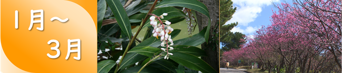 1月～3月