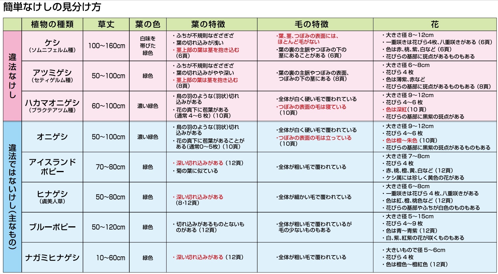 表
