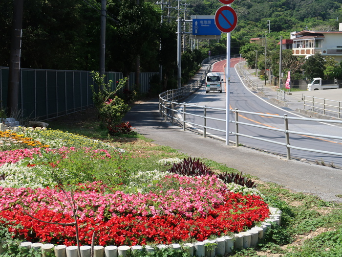 道路ボランティア