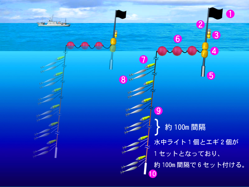 ソデイカ延縄漁法