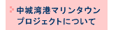 p`}^EvWFNgɂ