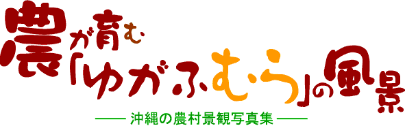_ނ䂪ӂނ̕i
