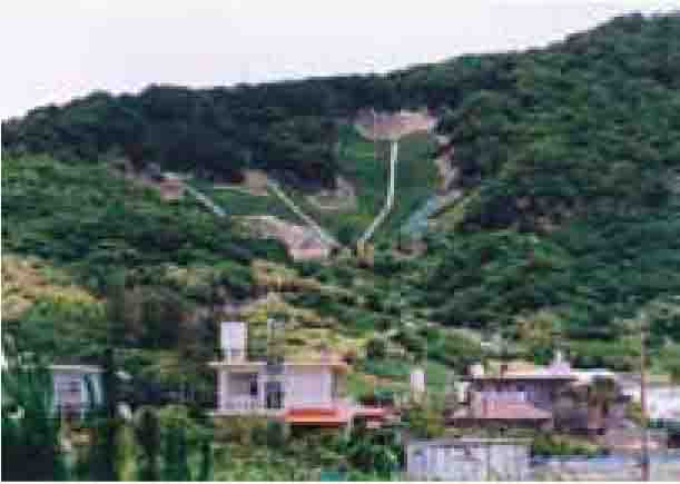 法面緑化