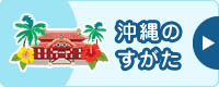 沖縄のすがた