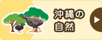 沖縄の自然
