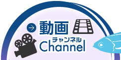 動画チャンネル
