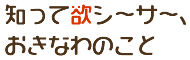 知って欲シーサー、おきなわのこと