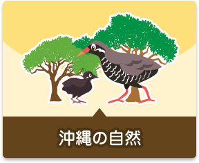 沖縄の自然