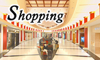Shopping( External link )