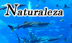 Naturaleza( External link )