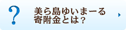 美ら島ゆいまーる寄附金とは？