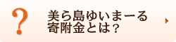 美ら島ゆいまーる寄附金とは？