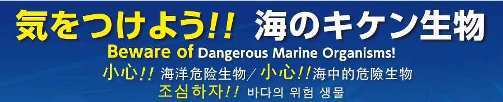 イラスト:気を付けよう!海のキケン生物